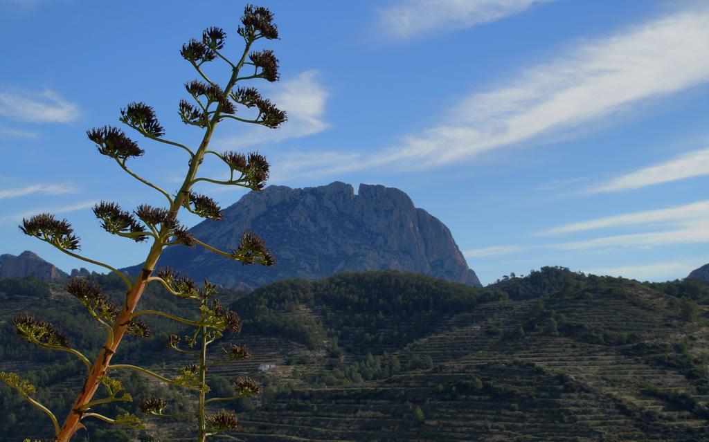 Sella Alojamientos Turisticos Isa I Toni المظهر الخارجي الصورة